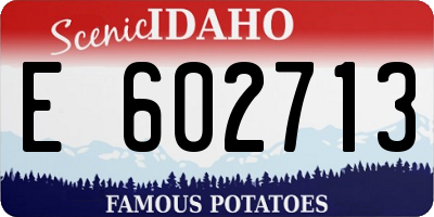 ID license plate E602713