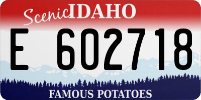 ID license plate E602718