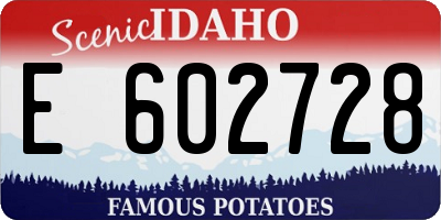 ID license plate E602728