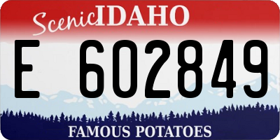 ID license plate E602849