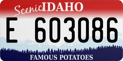 ID license plate E603086