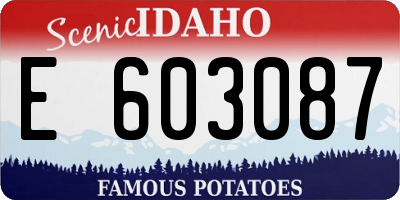 ID license plate E603087