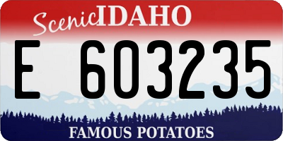 ID license plate E603235