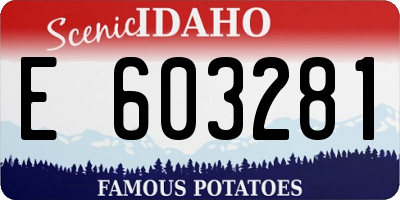 ID license plate E603281