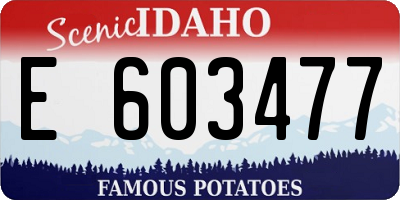 ID license plate E603477
