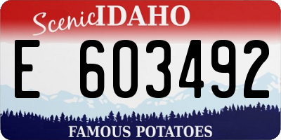 ID license plate E603492