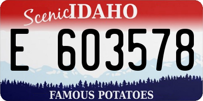 ID license plate E603578