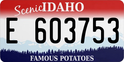 ID license plate E603753