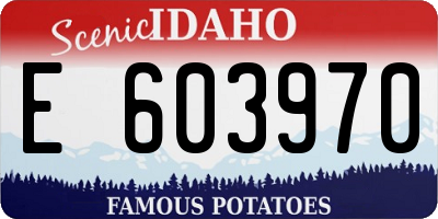 ID license plate E603970