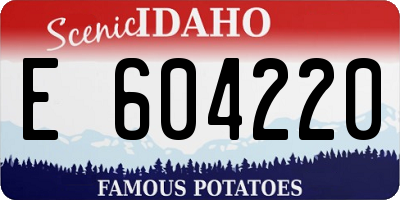 ID license plate E604220