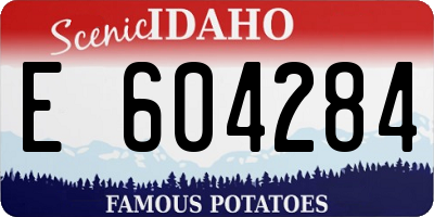 ID license plate E604284