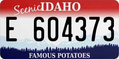 ID license plate E604373