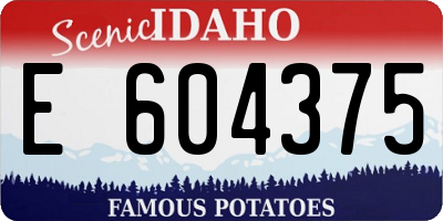 ID license plate E604375