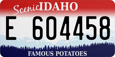 ID license plate E604458