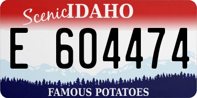 ID license plate E604474