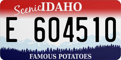ID license plate E604510