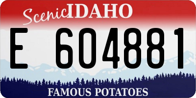 ID license plate E604881