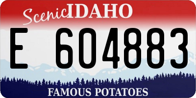 ID license plate E604883