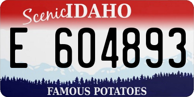 ID license plate E604893