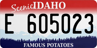 ID license plate E605023