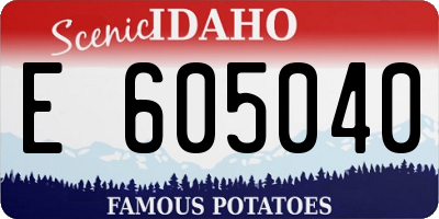 ID license plate E605040