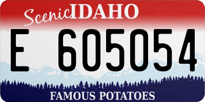 ID license plate E605054