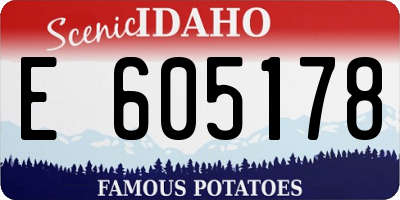 ID license plate E605178