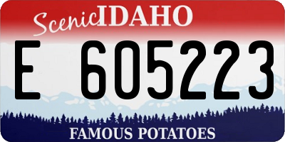 ID license plate E605223