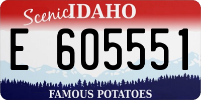 ID license plate E605551