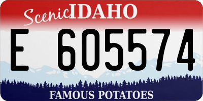 ID license plate E605574