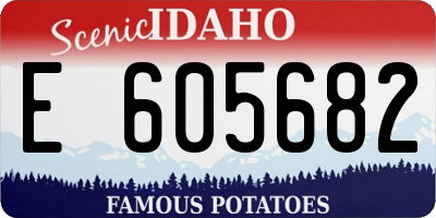 ID license plate E605682