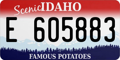 ID license plate E605883