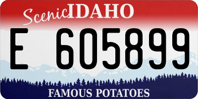 ID license plate E605899
