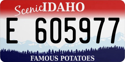 ID license plate E605977
