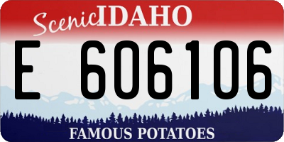 ID license plate E606106