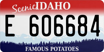 ID license plate E606684