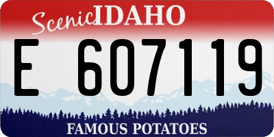 ID license plate E607119