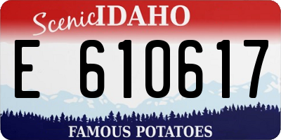 ID license plate E610617