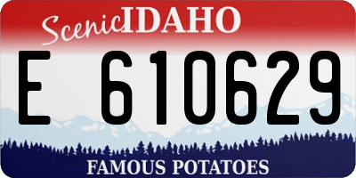 ID license plate E610629