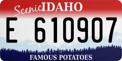 ID license plate E610907