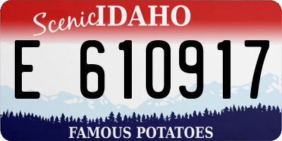 ID license plate E610917