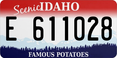 ID license plate E611028