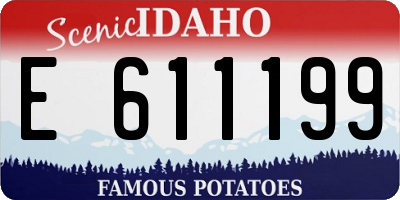 ID license plate E611199