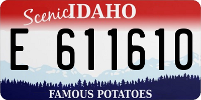ID license plate E611610
