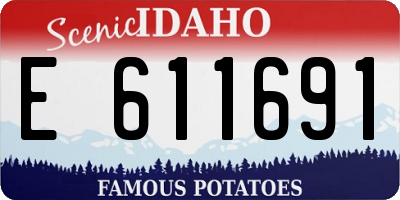 ID license plate E611691
