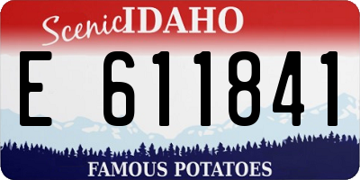 ID license plate E611841