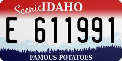 ID license plate E611991