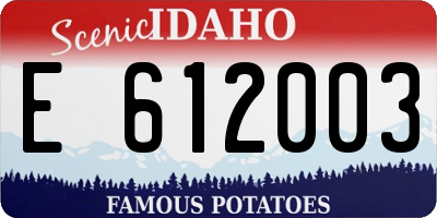 ID license plate E612003