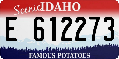 ID license plate E612273