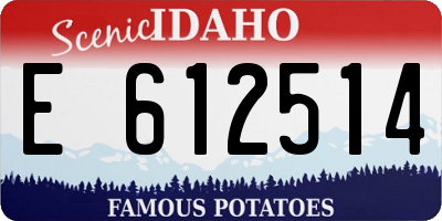ID license plate E612514